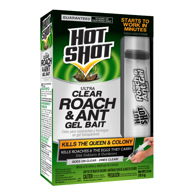 Hot shot max attract ant best sale bait dog